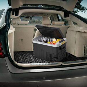 LEONARD USA 35L CAR VEHICLE REFRIGERATOR (with Compressor)Based on American Technology
