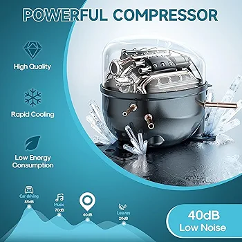 LEONARD USA Car Fridge 50 L with Compressor 12 Volt, Vehicle Refrigerator with 12/24V DC 110-240V AC for Indian Cars, SUV, RV, Camping, Outdoor and Home (Black) (Based on American Technology)